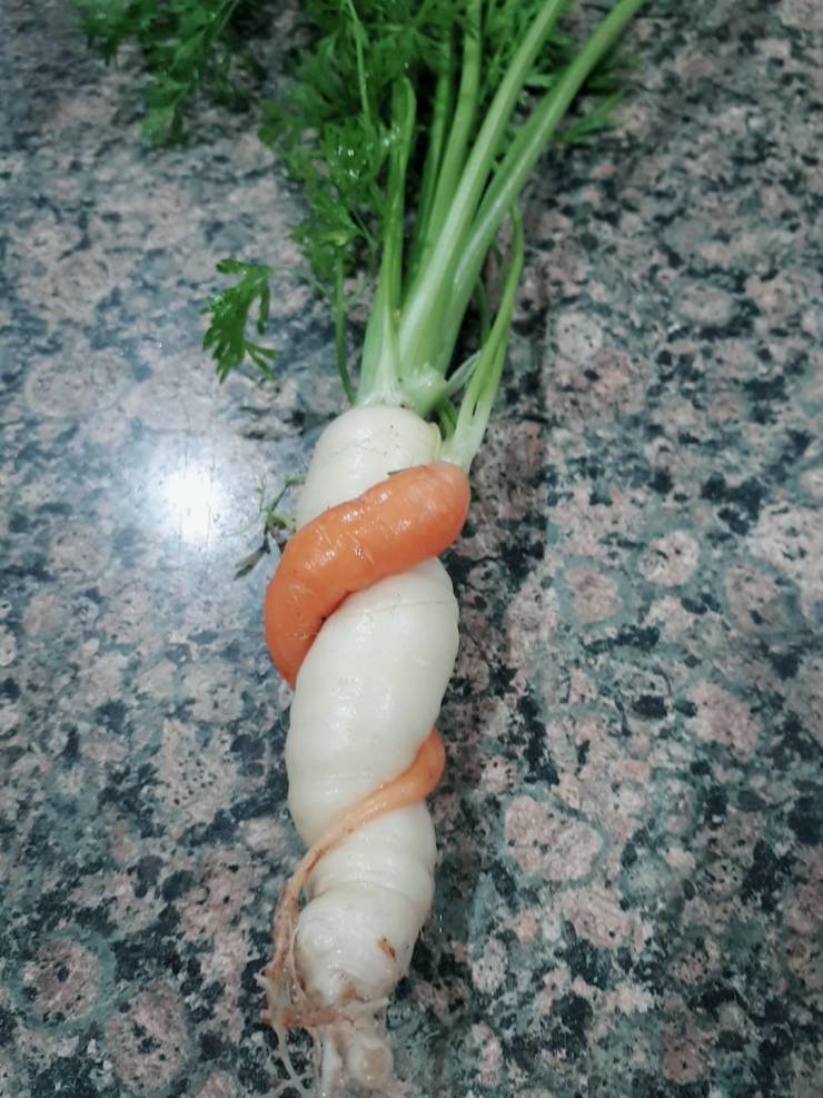 daily picdump 86 pics 9.html - 86 HD Photos | Premium Gallery 2019