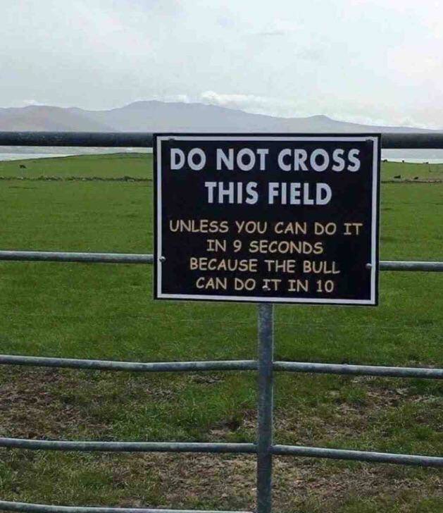 Funny Picdump