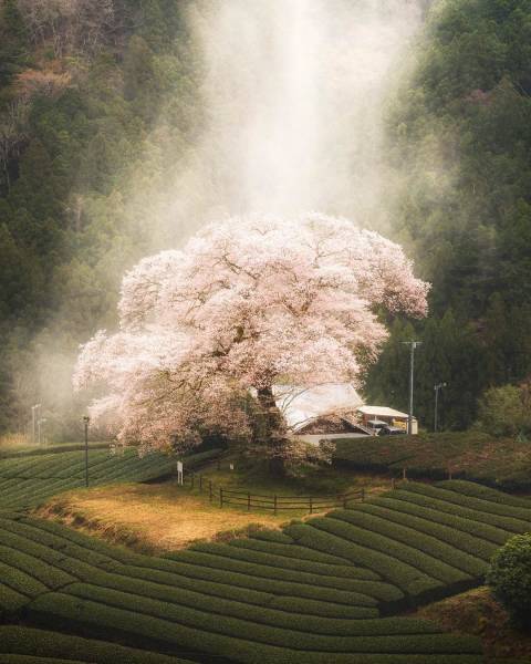 page,9,top 750 daily pics of the year 2019.html - 1 HD Photos | Premium Gallery 2019