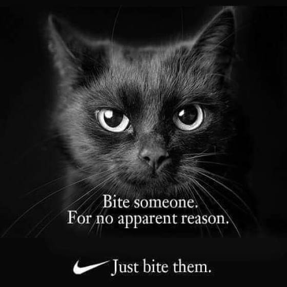 Funny Picdump