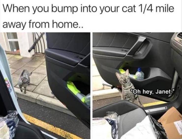 funny picdump 50 pics 13.html - 50 HD Photos | Premium Gallery 2019