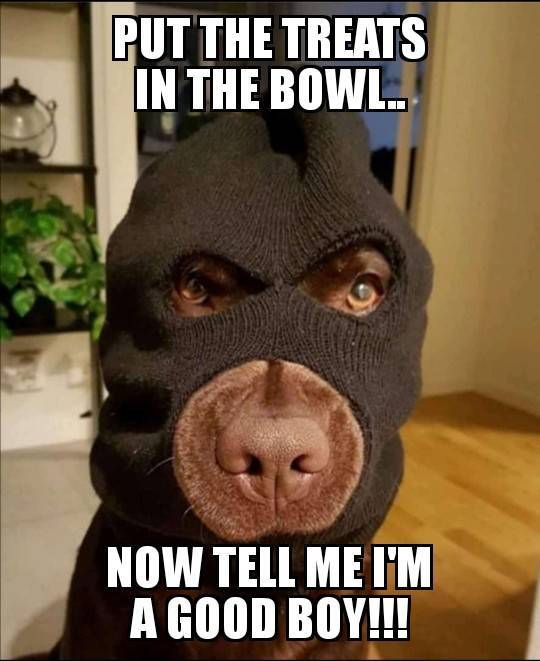 Funny Picdump