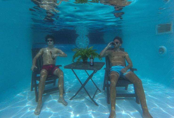 Daily Picdump