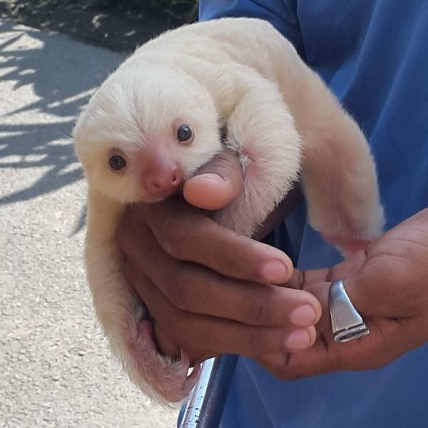The Tinier The Animal, The Cuter It Is