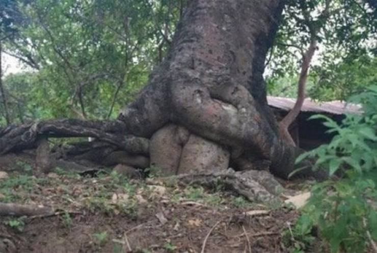 We All Know What We See Here