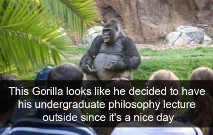 Funny Picdump