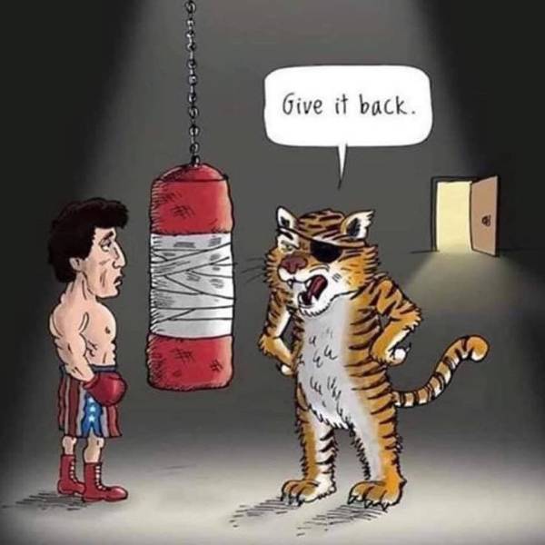 Funny Picdump