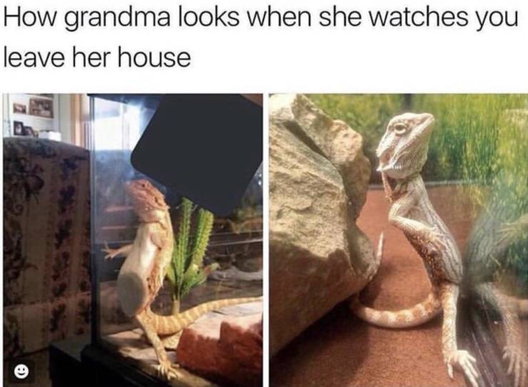 Funny Picdump