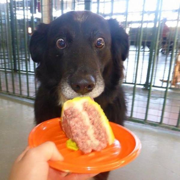 funny picdump 56 pics 25.html - 56 HD Photos | Premium Gallery 2019