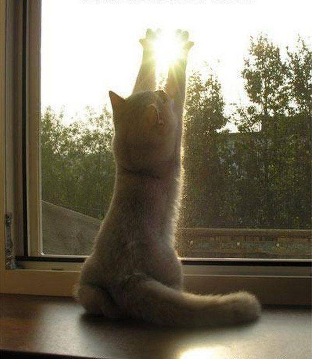 Funny Picdump