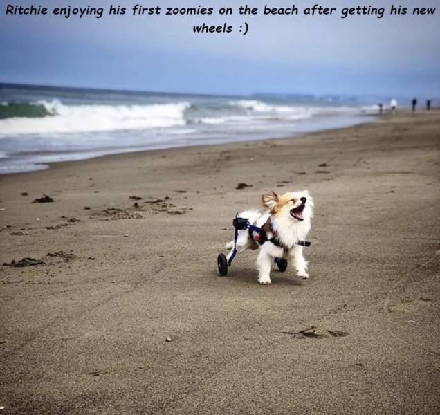 morning picdump 54 pics 19.html - 54 HD Photos | Premium Gallery 2019