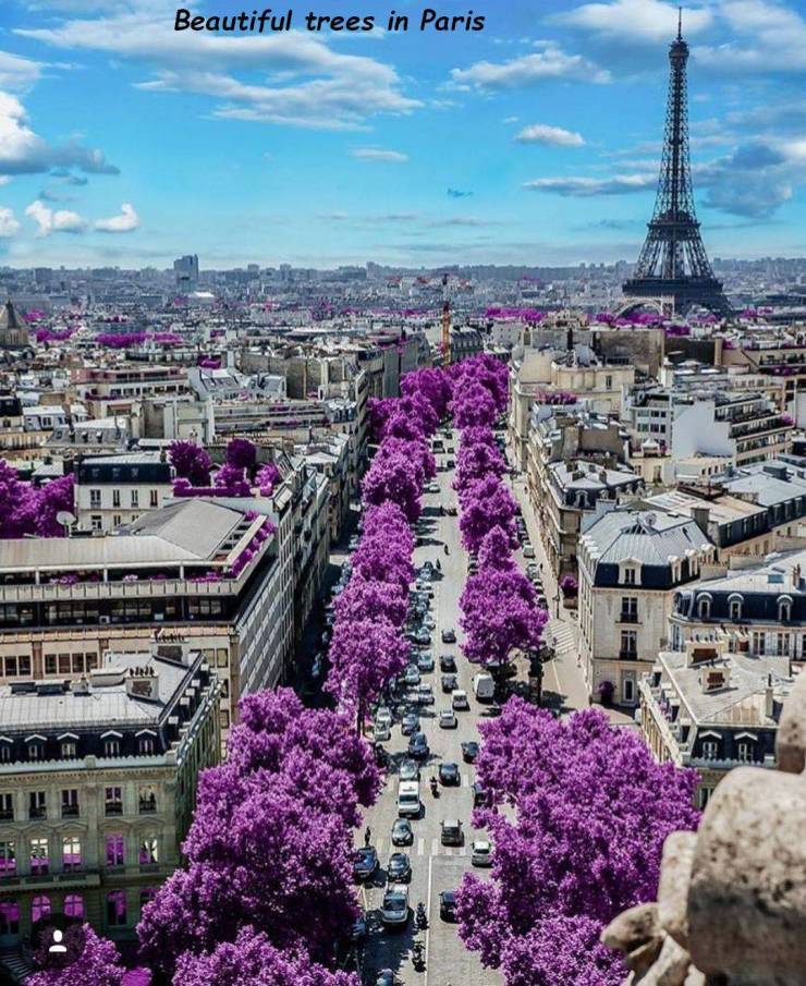 morning picdump 54 pics 19.html - 54 HD Photos | Premium Gallery 2019