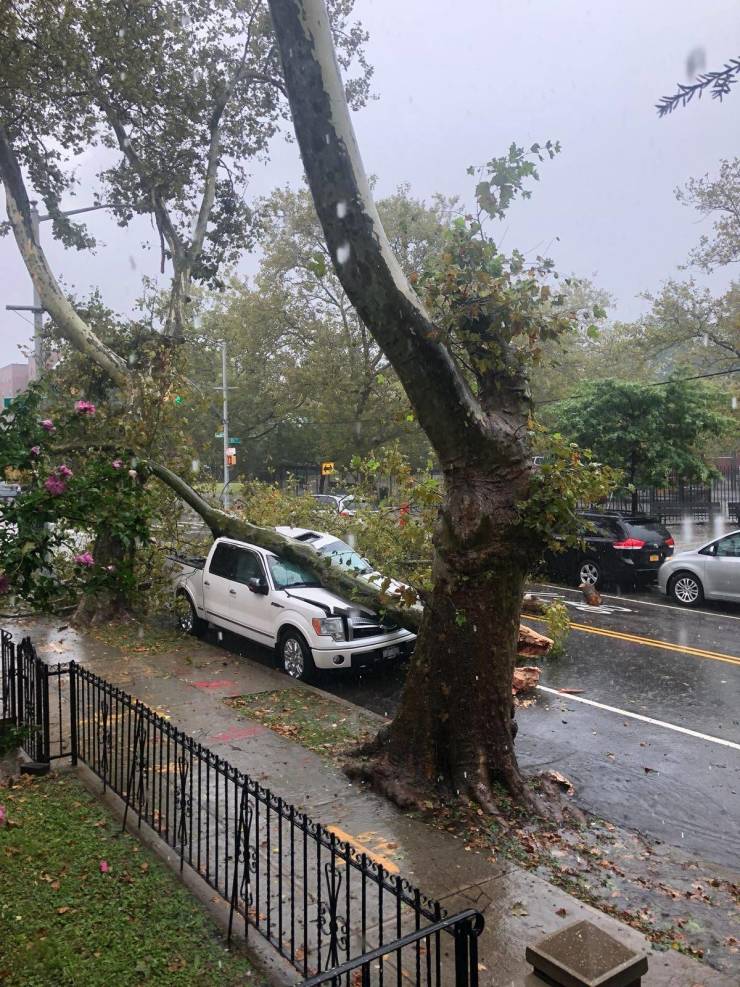 morning picdump 54 pics 19.html - 54 HD Photos | Premium Gallery 2019