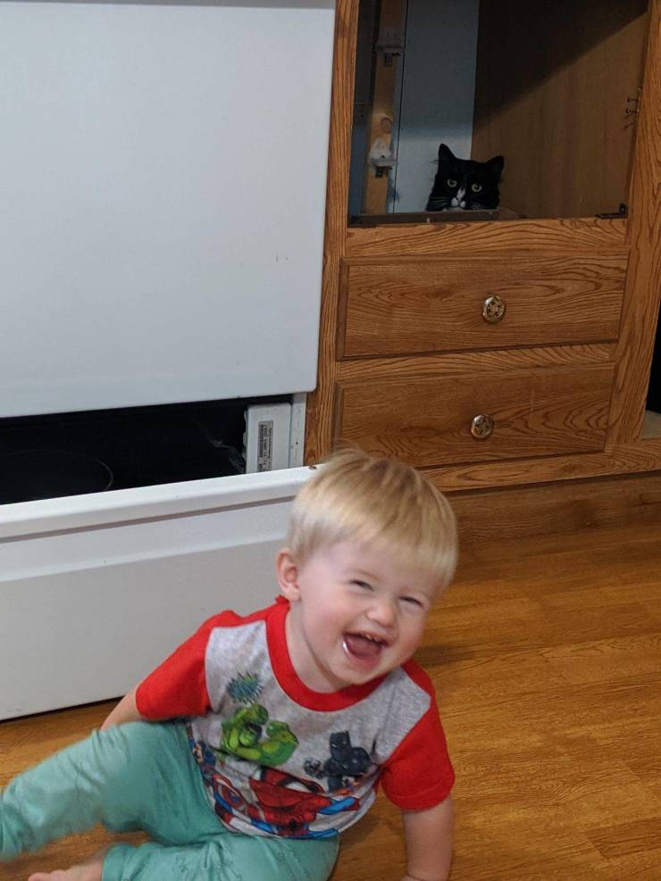 morning picdump 54 pics 19.html - 54 HD Photos | Premium Gallery 2019