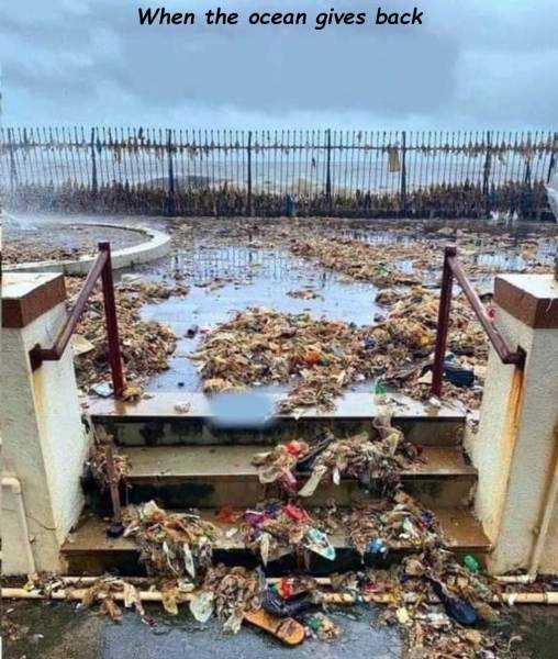 page,6,top 750 daily pics of the year 2019.html - 1 HD Photos | Premium Gallery 2019