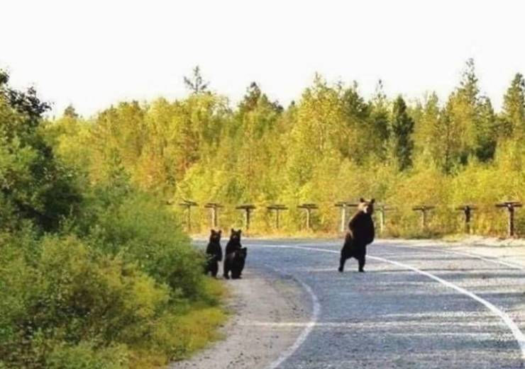 page,4,top 250 morning pics of the year 2019.html - 1 HD Photos | Premium Gallery 2019