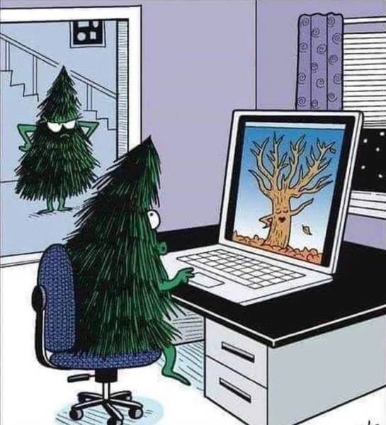 page,3,top 250 funny pics of the year 2019.html - 1 HD Photos | Premium Gallery 2019