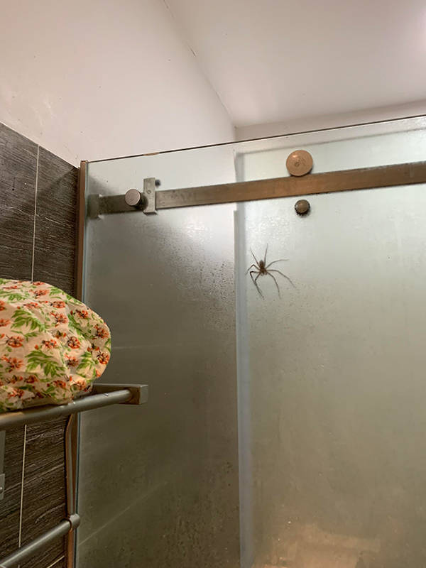 No, Thanks, Do Not Want