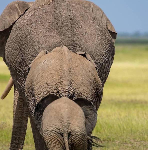 page,6,top 750 daily pics of the year 2019.html - 1 HD Photos | Premium Gallery 2019