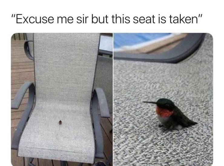 funny picdump 60 pics 17.html - 60 HD Photos | Premium Gallery 2019