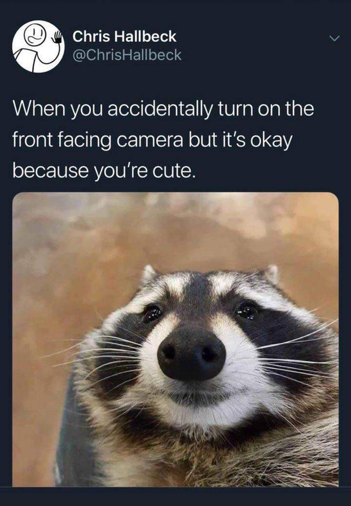 funny picdump 60 pics 17.html - 60 HD Photos | Premium Gallery 2019