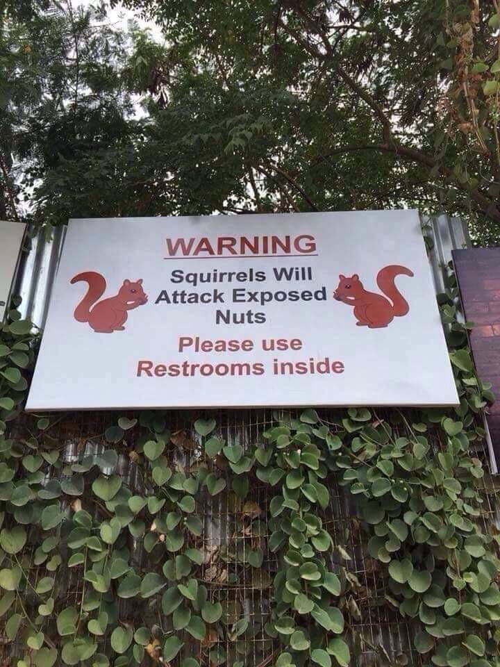 funny picdump 60 pics 17.html - 60 HD Photos | Premium Gallery 2019