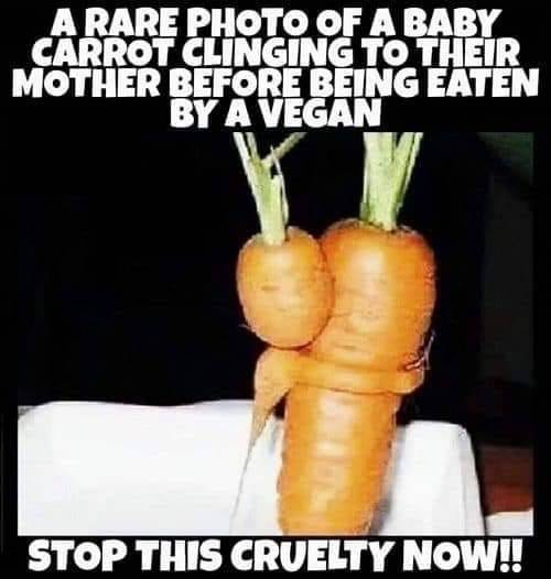 funny picdump 60 pics 17.html - 60 HD Photos | Premium Gallery 2019