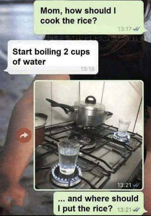 funny picdump 60 pics 17.html - 60 HD Photos | Premium Gallery 2019