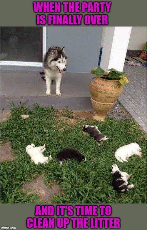 funny picdump 60 pics 17.html - 60 HD Photos | Premium Gallery 2019