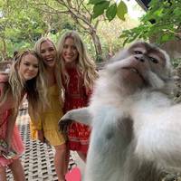 israeli police deals with a rowdy russian video.html - 1 HD Video | Premium Gallery 2020