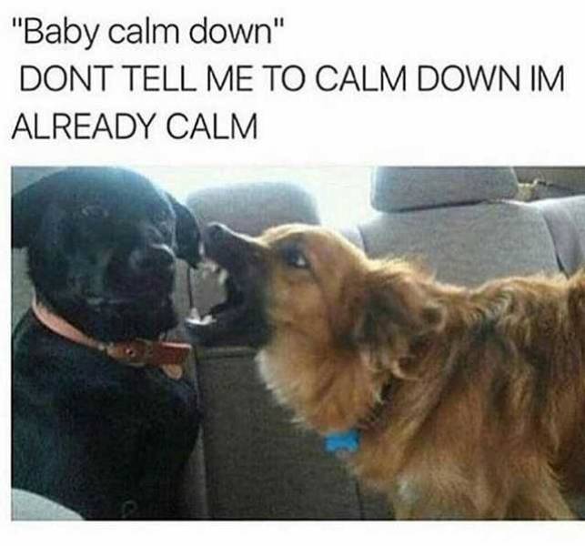 Funny Picdump