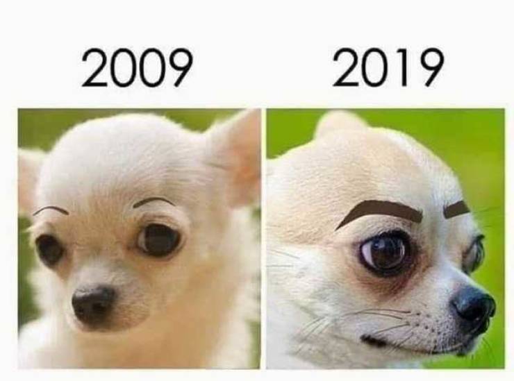 Funny Picdump