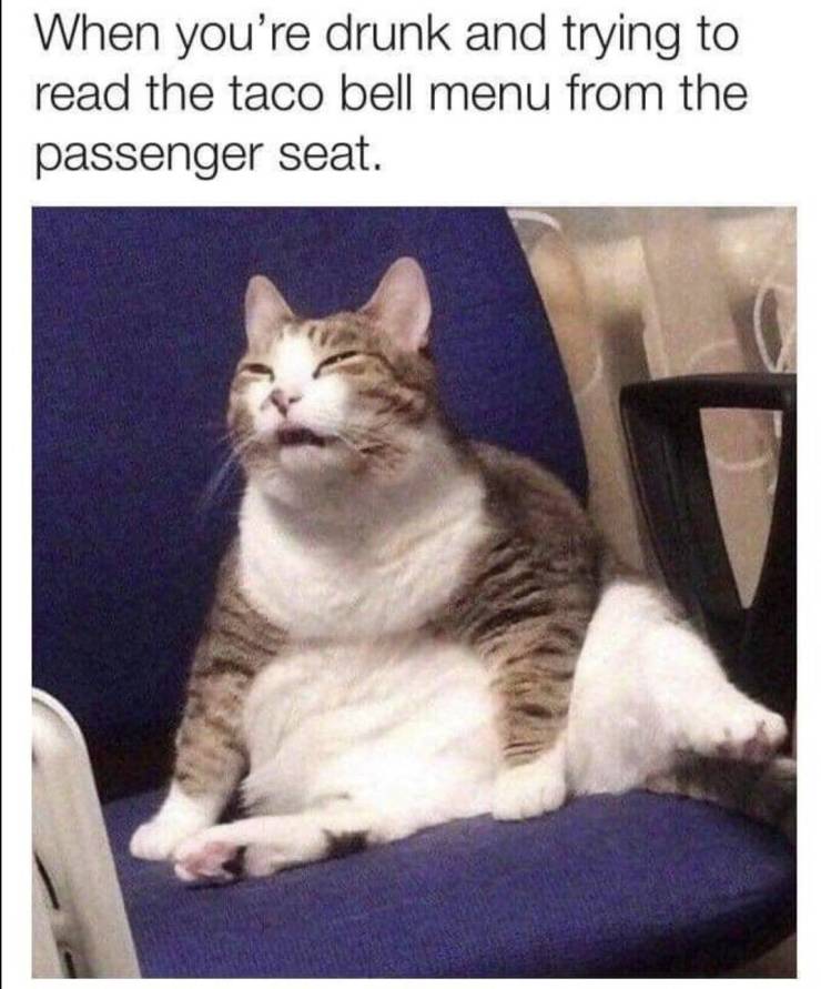 Funny Picdump