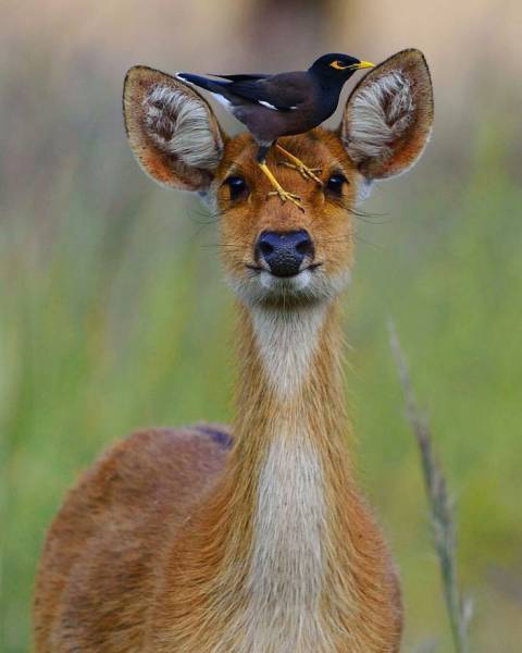 page,27,top 750 daily pics of the year 2019.html - 1 HD Photos | Premium Gallery 2019