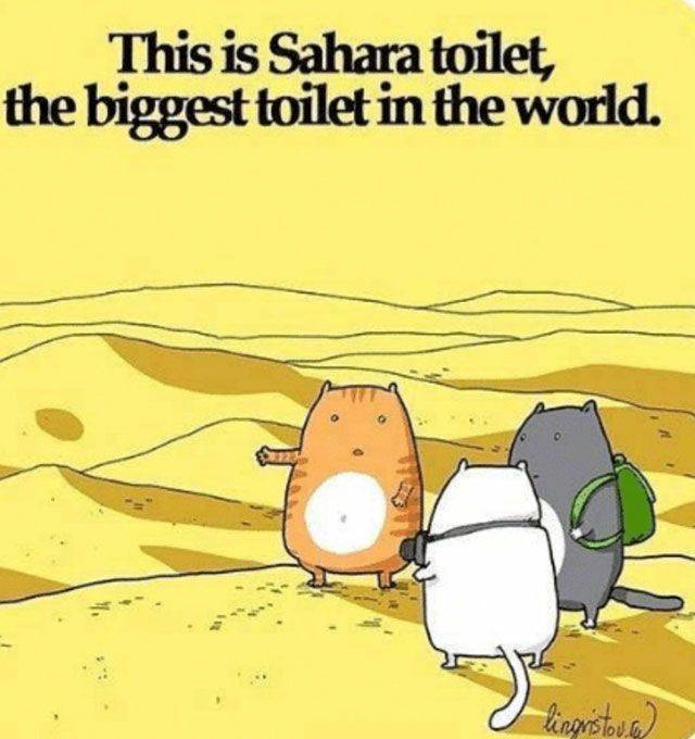 Funny Picdump