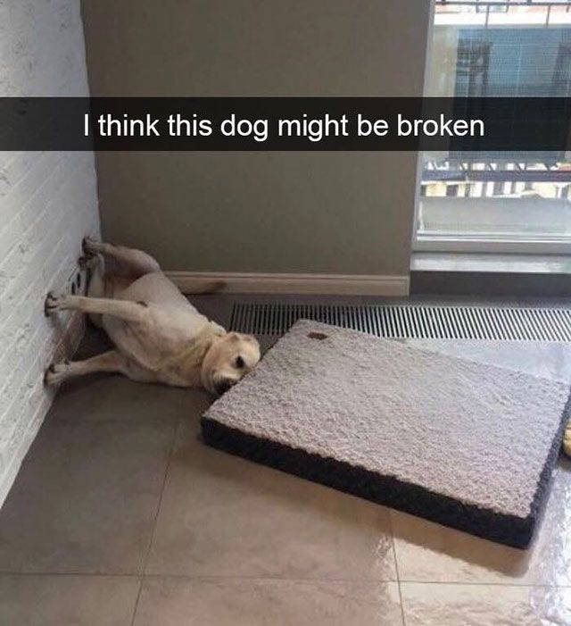 Funny Picdump