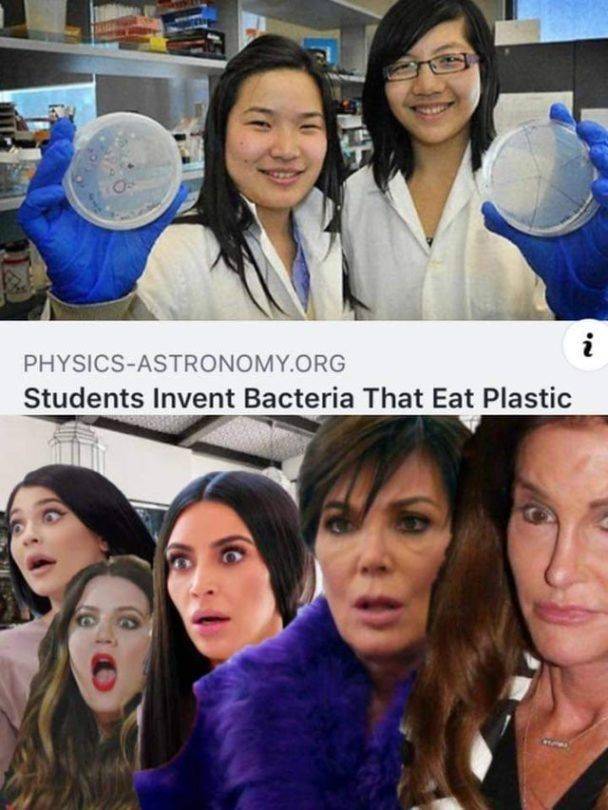 funny picdump 54 pics 13.html - 54 HD Photos | Premium Gallery 2019