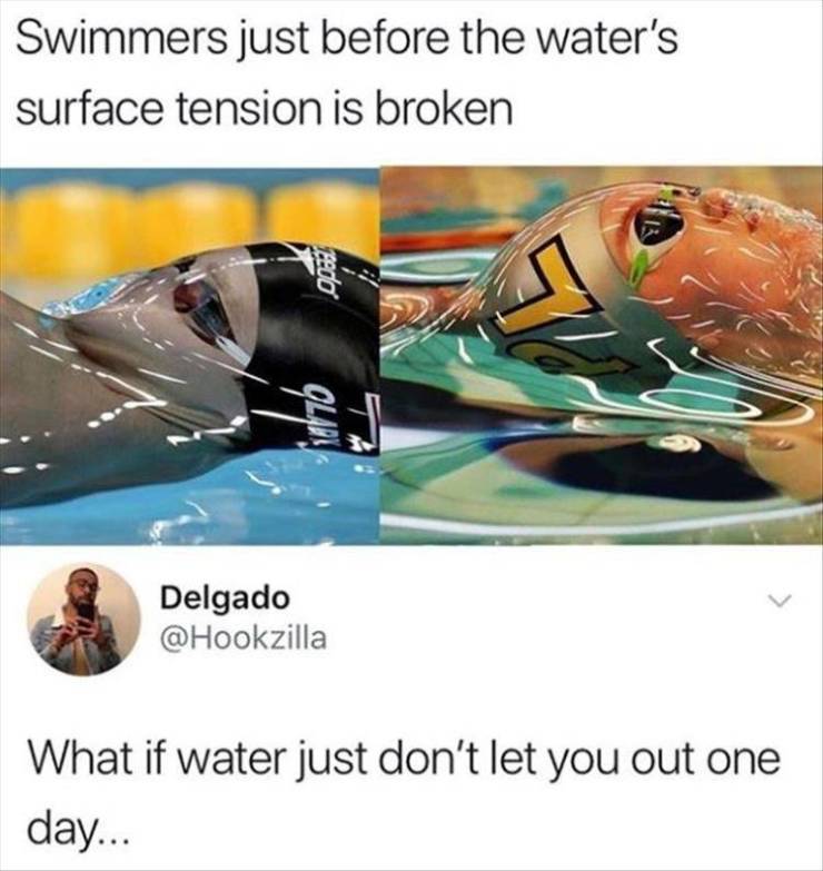 funny picdump 54 pics 13.html - 54 HD Photos | Premium Gallery 2019
