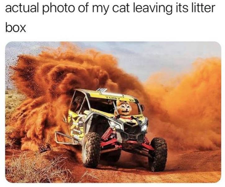 Funny Picdump