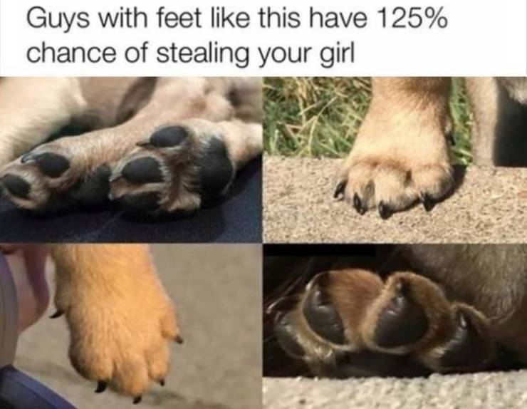 funny picdump 53 pics 5.html - 53 HD Photos | Premium Gallery 2019
