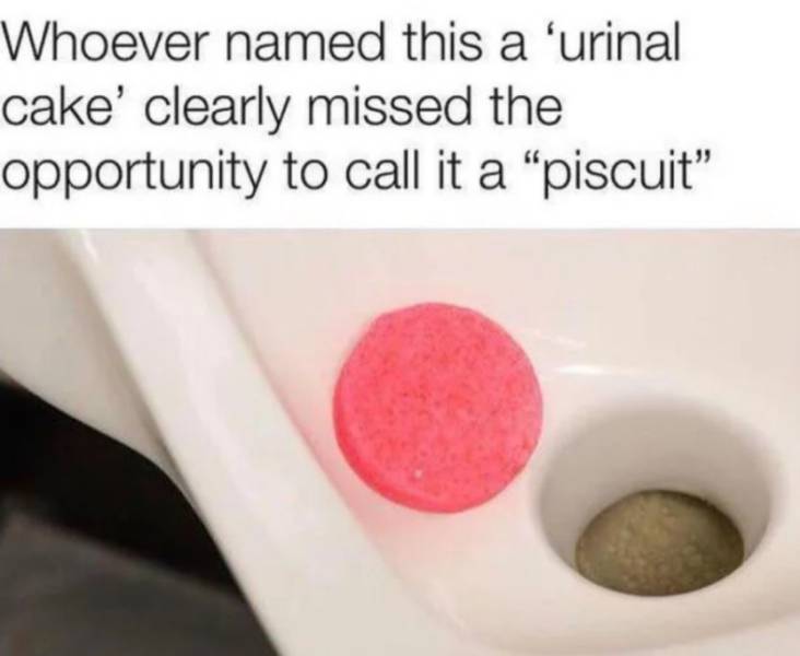 funny picdump 53 pics 5.html - 53 HD Photos | Premium Gallery 2019
