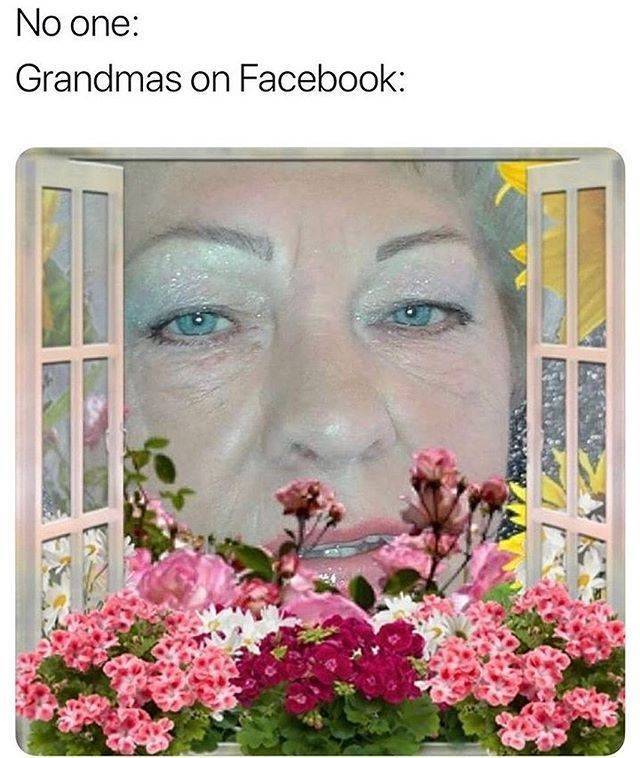 Funny Picdump