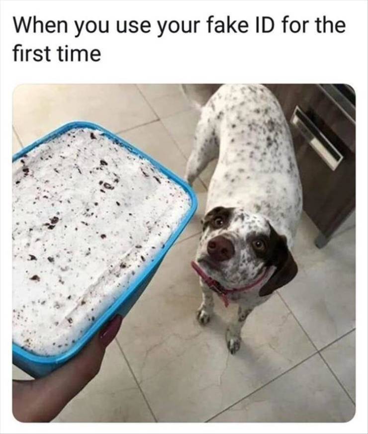funny picdump 53 pics 5.html - 53 HD Photos | Premium Gallery 2019