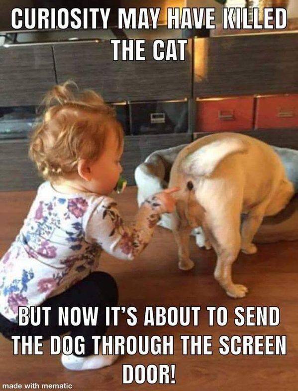 Funny Picdump
