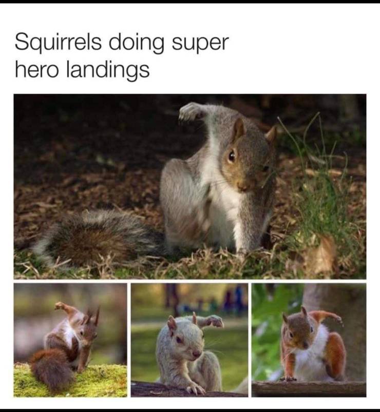 funny picdump 52 pics 3.html - 52 HD Photos | Premium Gallery 2019