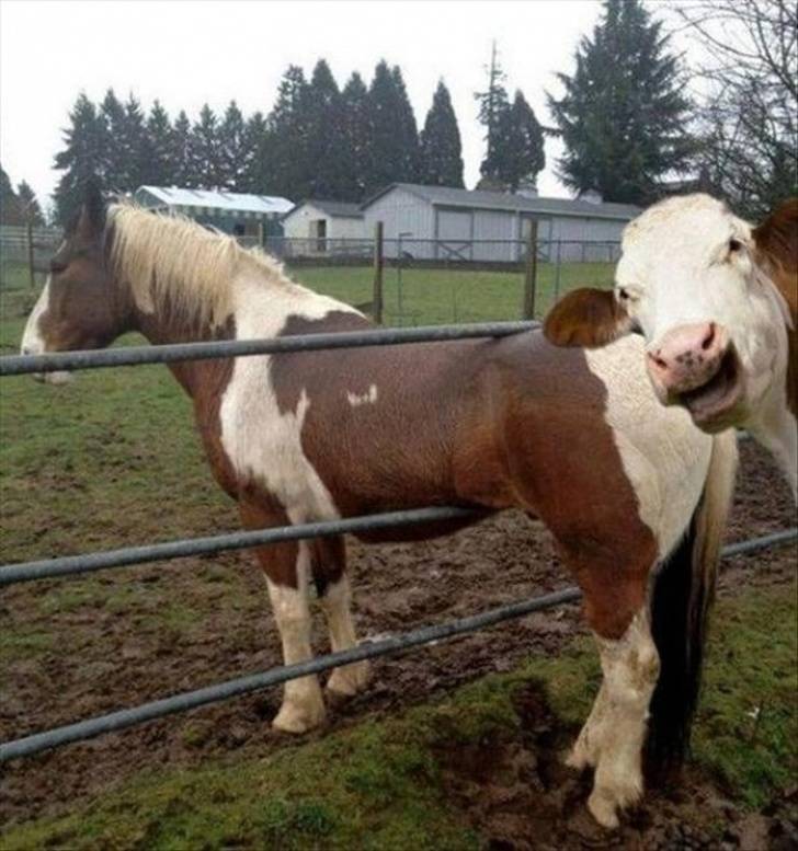 Photobombs Add A Little Spice