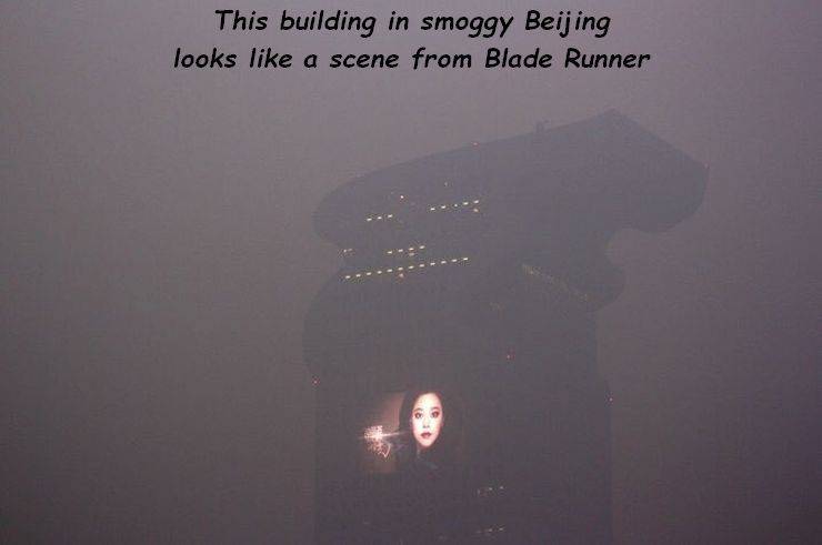 page,16,top 750 daily pics of the year 2019.html - 1 HD Photos | Premium Gallery 2019