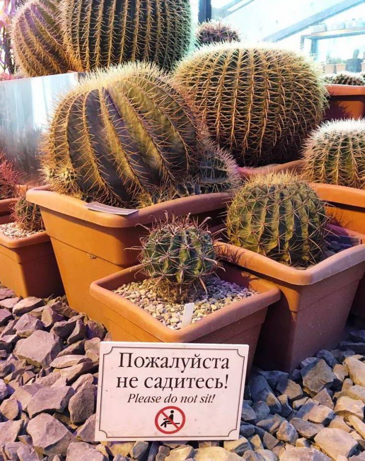 daily picdump 102 pics 12.html - 102 HD Photos | Premium Gallery 2019