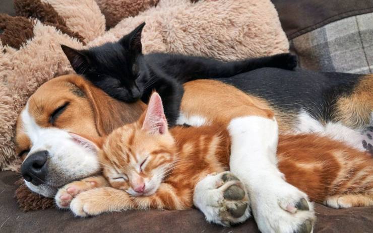 page,4,top 750 daily pics of the year 2019.html - 1 HD Photos | Premium Gallery 2019