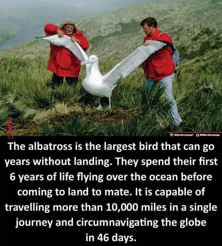daily picdump 94 pics 20.html - 94 HD Photos | Premium Gallery 2019